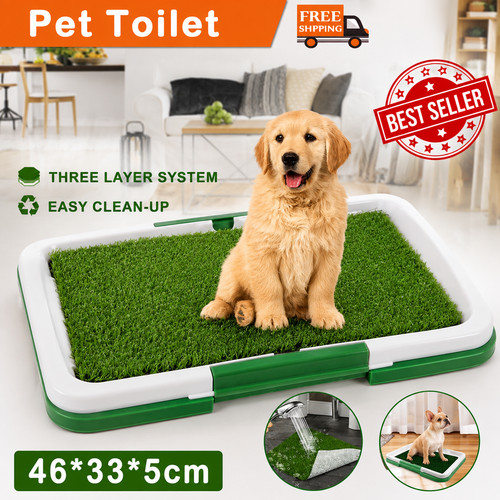 Pet dog toilet mat indoor - toilet,