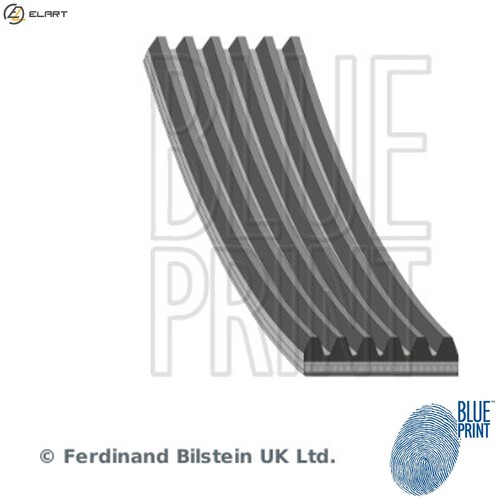 Vribbed belt ad06r2155 for - vribbed,