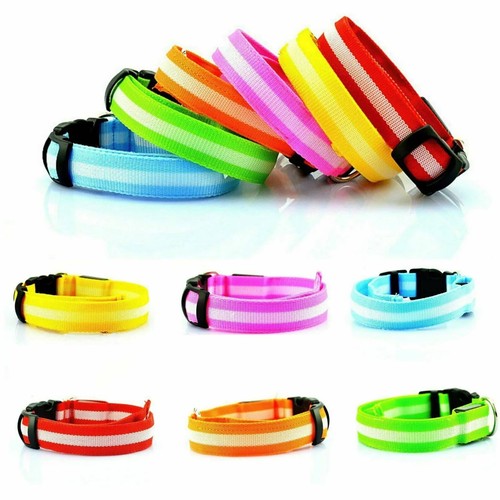 Led dog pet - pet, collar