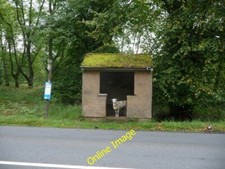Photo 6x4 The Forest of Dean Parkend/SO6108 A scene that encapsulates th c2012