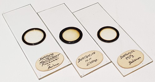 Diatom microscope slides - 3x,