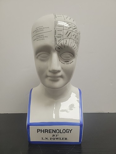 Phrenology head ceramic - phrenology, 12"