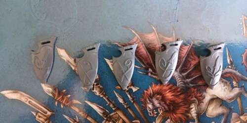 Wild riders shields wood - shields,