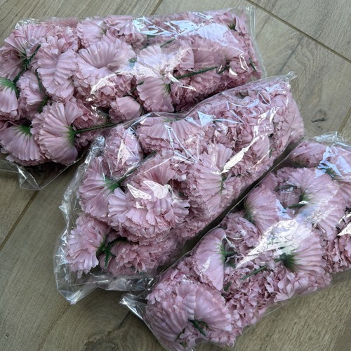Carnation picks ideal for - carnation,