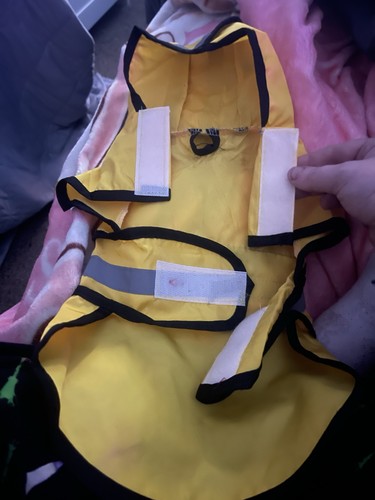 Small dog rain - dog, coat