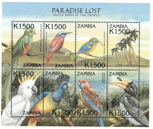 Zambia 2000 exotic - -, of