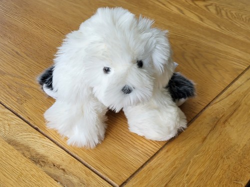 Dulux old english sheep dog - old,