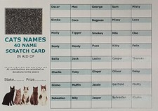 50 x 40 Cat Name Themed