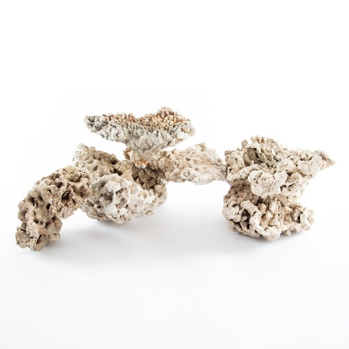 Quatics dried reef - -, real