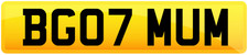 REGISTRATION PRIVATE PLATE
