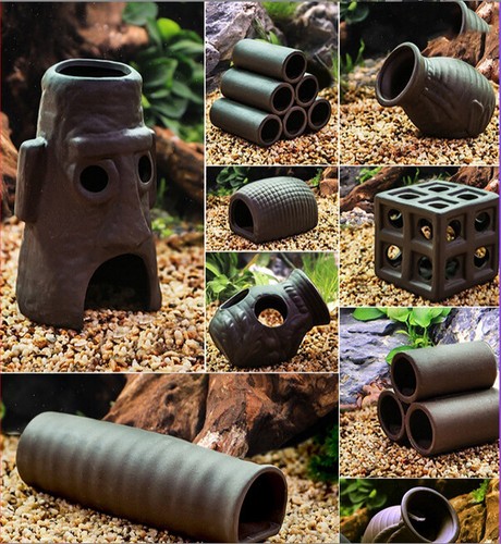 Fish tank caves cichlid pleco - fish,