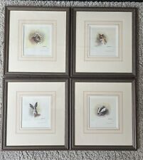 Mandy Shepherd Animal Prints Limited Edition