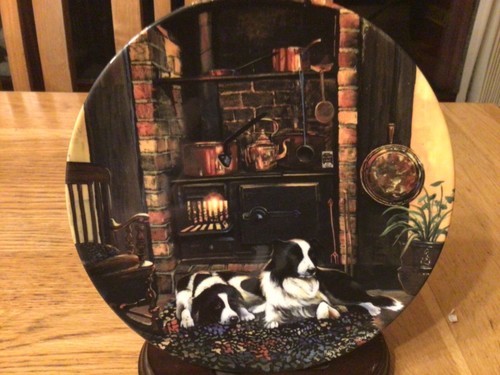Border collie dog plate - dog,