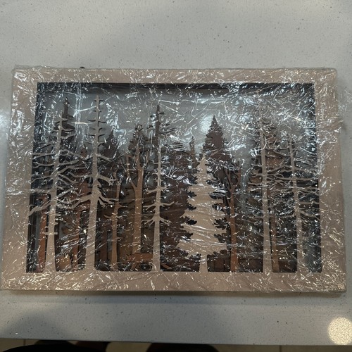 The wide woods - the, layer