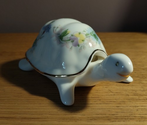 Aynsley wild tudor - wild, tortoise
