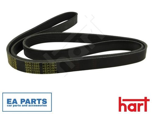 Ribbed belt for audi a5 - v-ribbed,