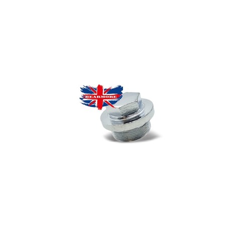 Chain case inspection plug - case,