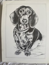 Pollyanna Pickering Dachshund