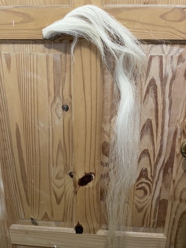 Blonde natural horse - natural, mane