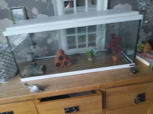 Fishtank good condition - fishtank, got
