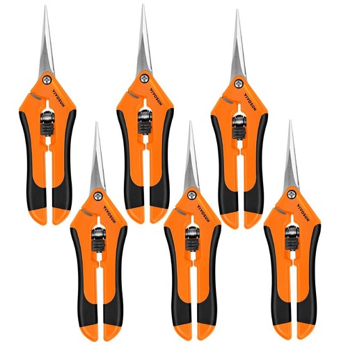 Pack gardening - 6-pack,