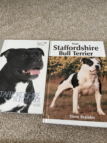 Staffordshire bull terrier - staffordshire,