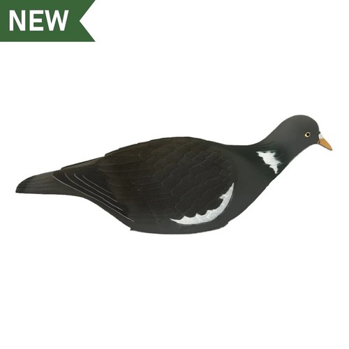 High definition pigeon shell - definition,