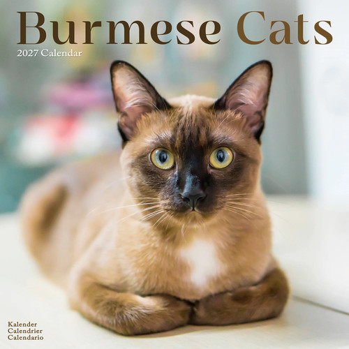 Cats burmese 2027 calendar - , |