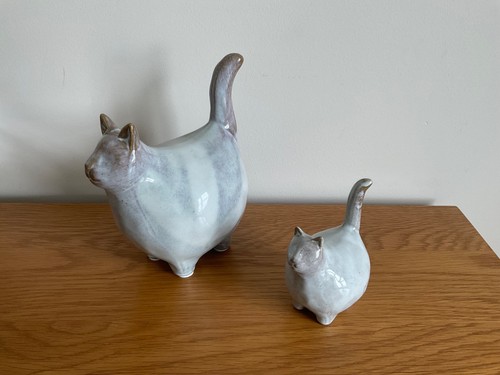 Next chester cats - next,