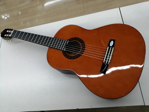 Valencia 160 classical - cg-160,