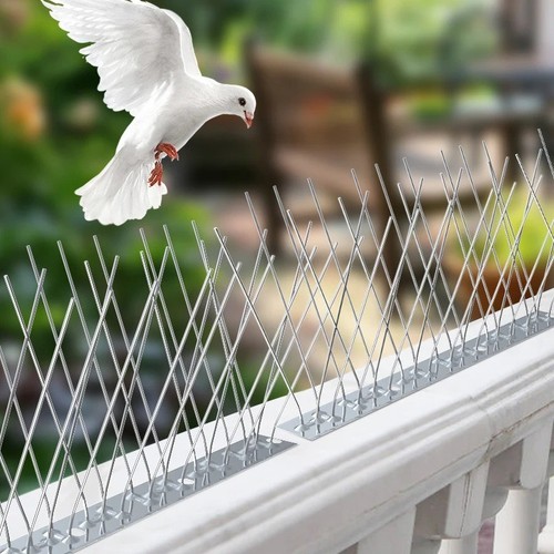 Bird repeller spikes pigeon - bird,