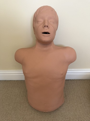 Simulaids brad cpr manikin - brad,