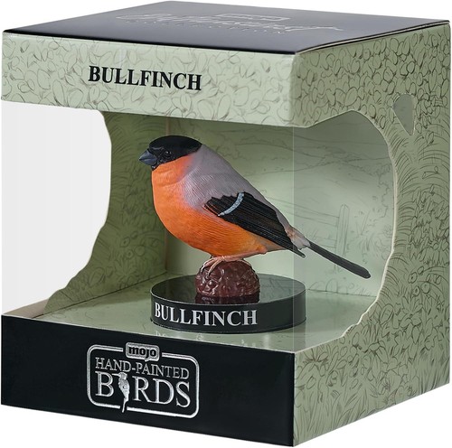 European bullfinch enthusiast - bullfinch,
