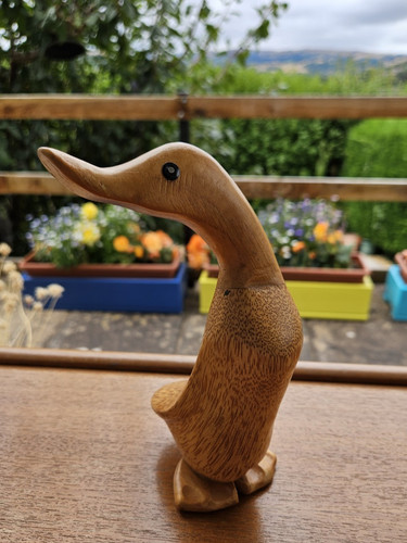 Natural colour wooden dcuk - colour,