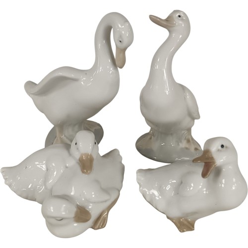 Nao lladro porcelain ducks - by,