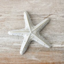 Cream Glazed Porcelain small