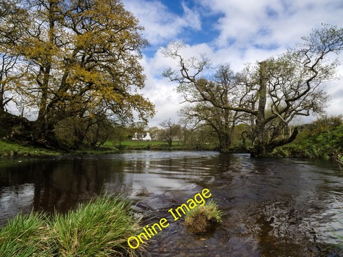 Photo 6x4 the water minnoch - the,