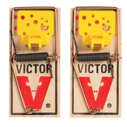 Mouse trap easy set - easy,