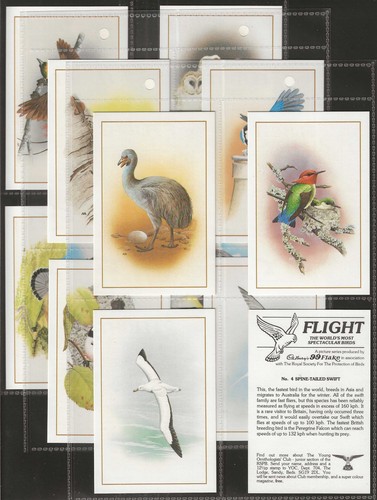 Cadbury full set flight birds - set-,