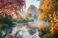 Autumn Lake Woodland Forest