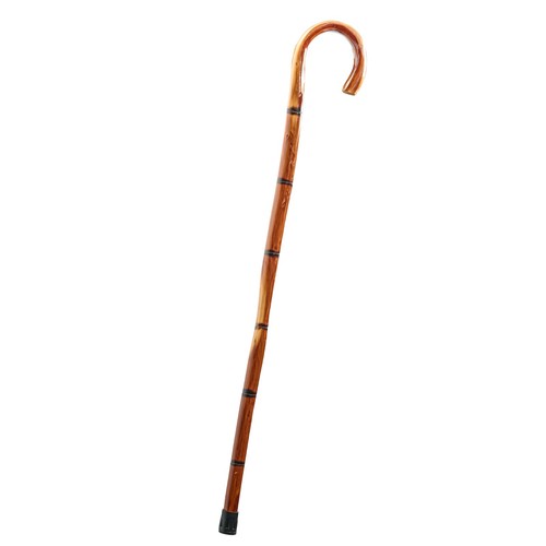 Dress america wooden - up, cane