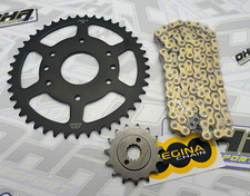 Regina Heavy Duty GOLD Chain &