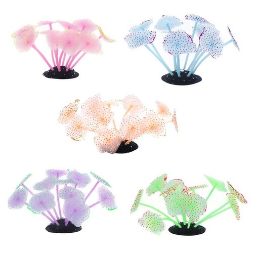 Water coral for fish - water,