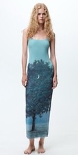 Zara Rene Magritte Mesh Maxi