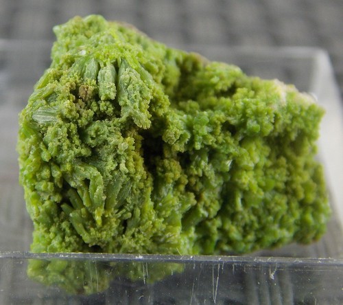 Pyromorphite crystals 9 - pyromorphite, cm