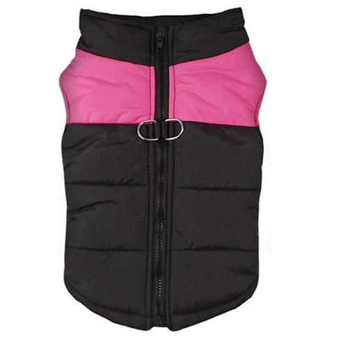 Create idea puppy warm winter - create,