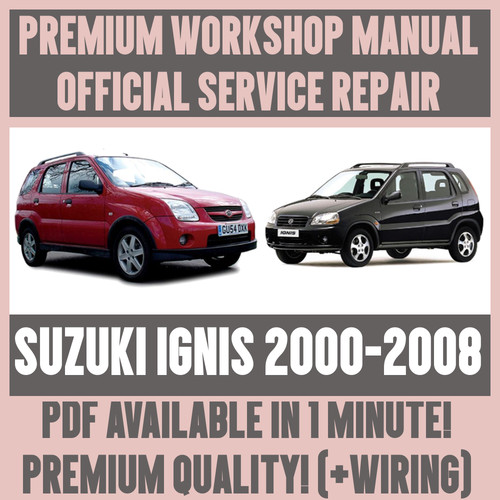 Workshop manual service - workshop,