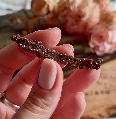 Druzy permineralized fossil - druzy,