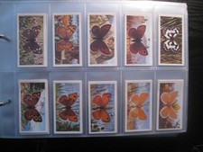 BROOKE BOND BLACK BACK FULL