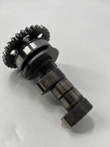 Racing 450 exhaust - racing, camshaft